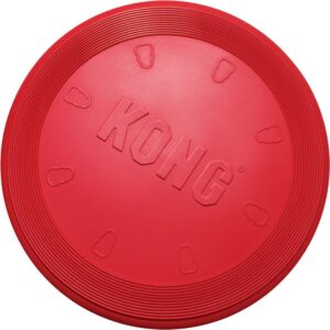 Frisbee